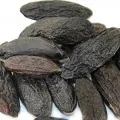 Fava tonka